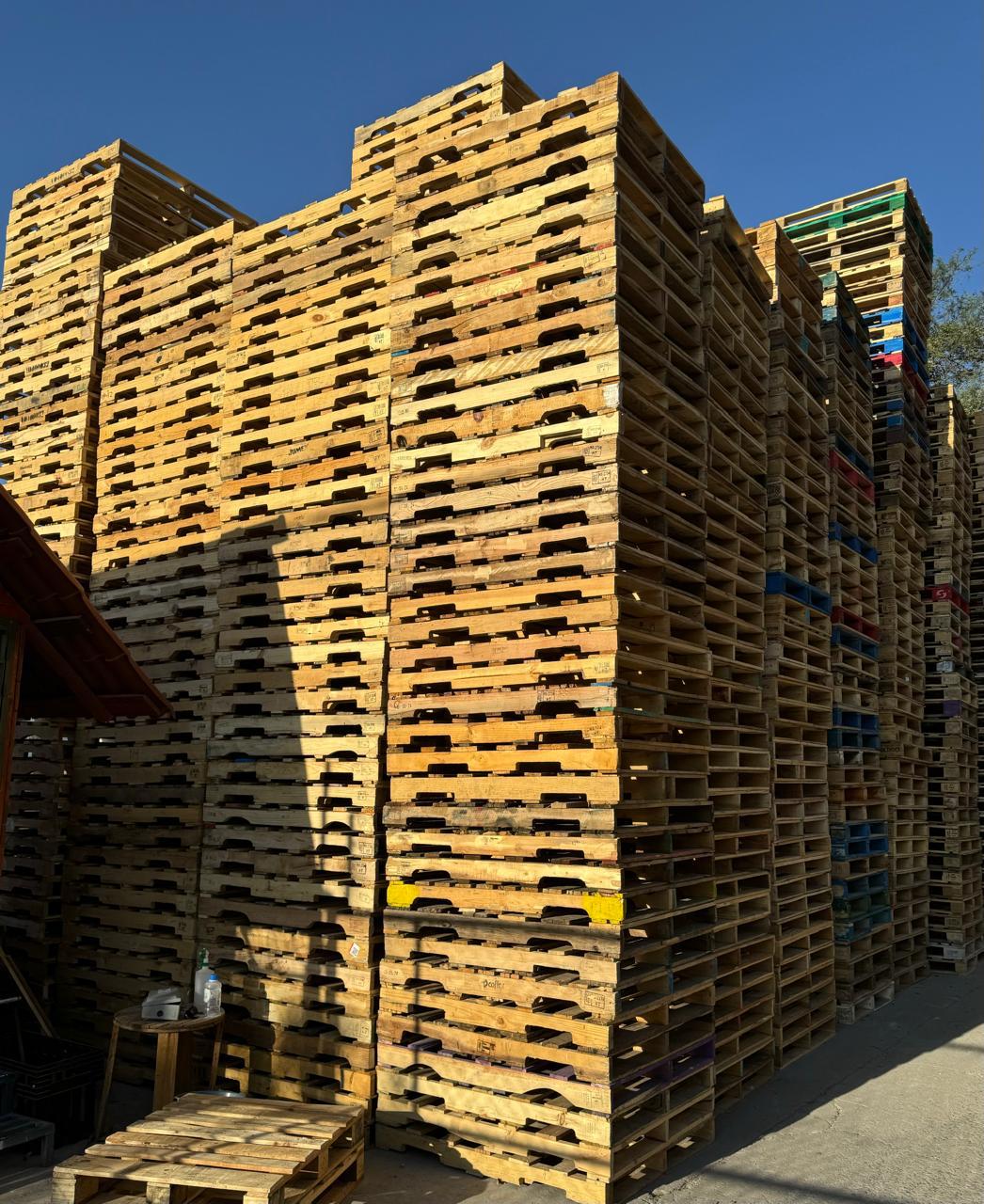 Tarimas de madera